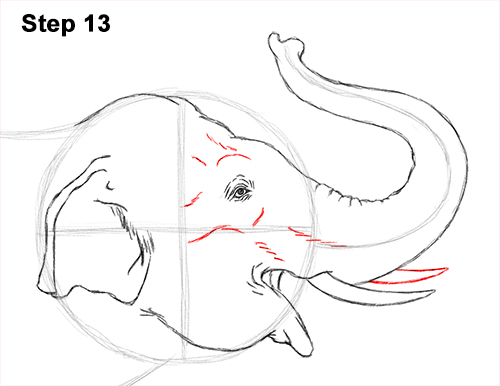 500x386 How To Draw An Asian Elephant - Elephant Line Drawing