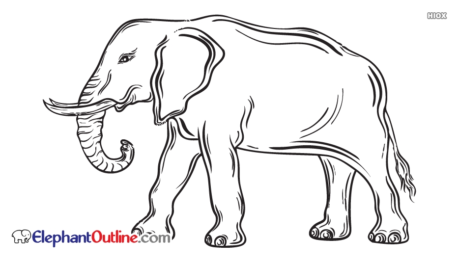 934x534 Elephant Outline Drawing Images - Elephant Outline Drawing