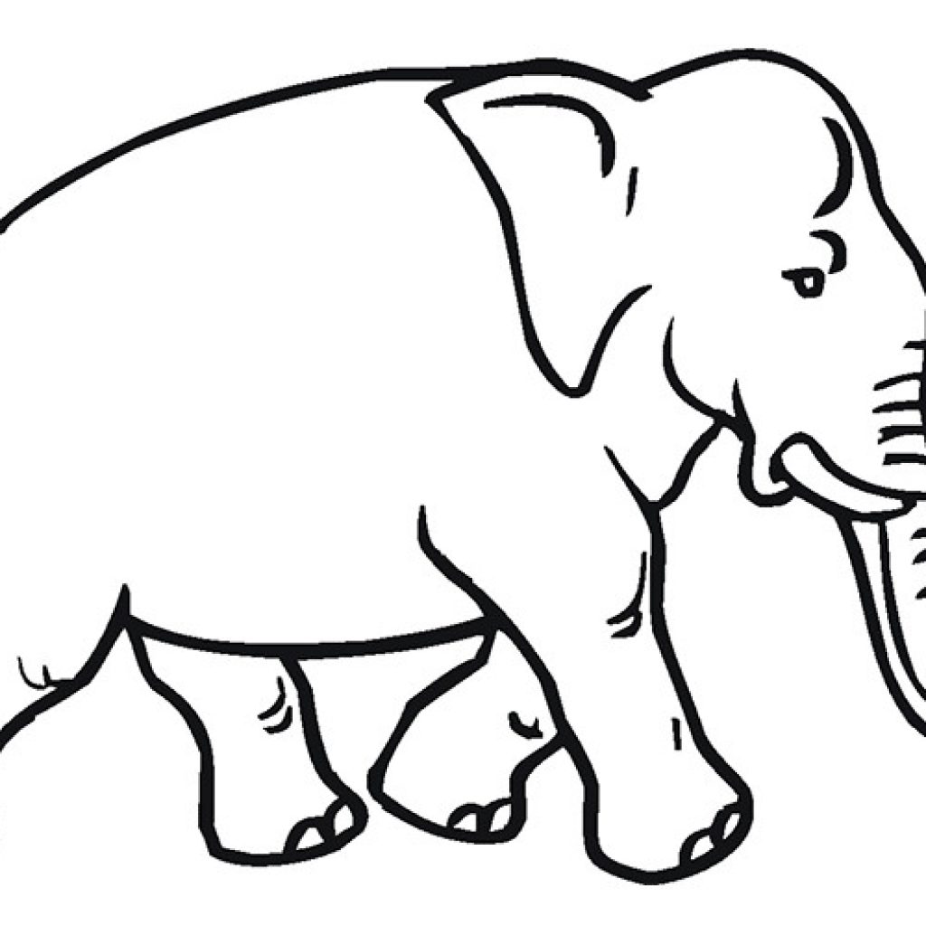 Elephant Outline Drawing at PaintingValley.com | Explore collection of ...