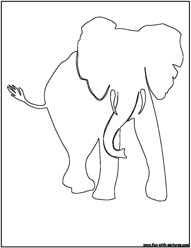 736x952 elephant outlines elephant outline drawing elephant outlines - Elephant Outline Drawing