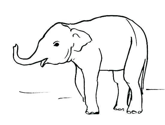 550x419 Outline Elephant Elephant Outline Clip Art Sensational Ideas Baby - Elephant Outline Drawing