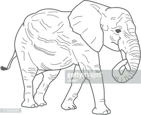 458x374 Outline Image Of Elephant Google Search Big Outline Image - Elephant Outline Drawing