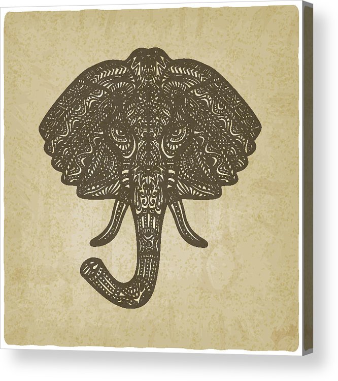666x750 Elephant Hand Drawn Pattern Old Background Acrylic Print - Elephant Pattern Drawing