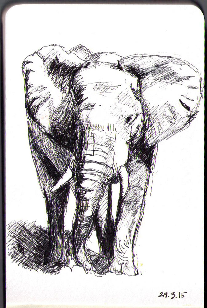673x1000 Drawing Of An Elephant In Ballpoint Pen After A Photo - Elephant Pen Drawing