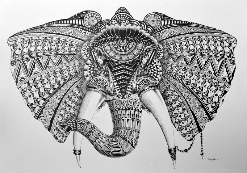 800x560 Elephant - Elephant Pen Drawing