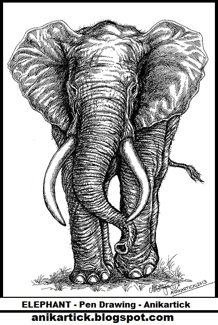 425x634 Elephant Pen Drawing - Elephant Pen Drawing