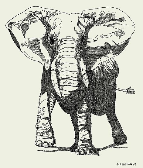 471x550 Elephant Pen And Ink Drawing Posters - Elephant Pen Drawing