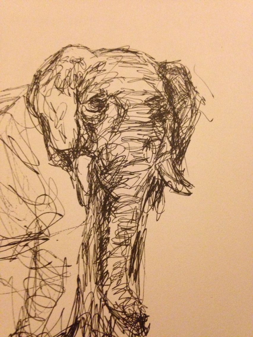 852x1136 Elephant Pen Drawing Drawings Drawings, Elephant Art, Scribble Art - Elephant Pen Drawing