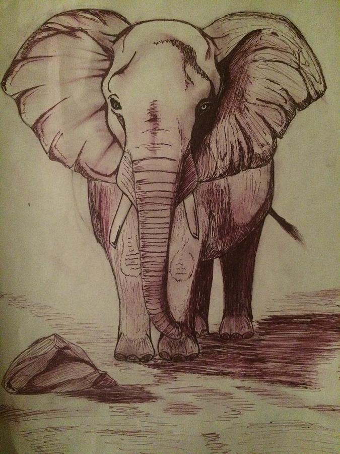 675x900 Purple Elephant Pen Drawing Drawing - Elephant Pen Drawing