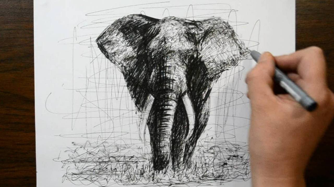 1280x720 Sketching An Elephant With Pens - Elephant Pen Drawing