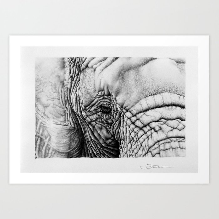 700x700 Elephant Pencil Drawing Art Print - Elephant Pencil Drawing