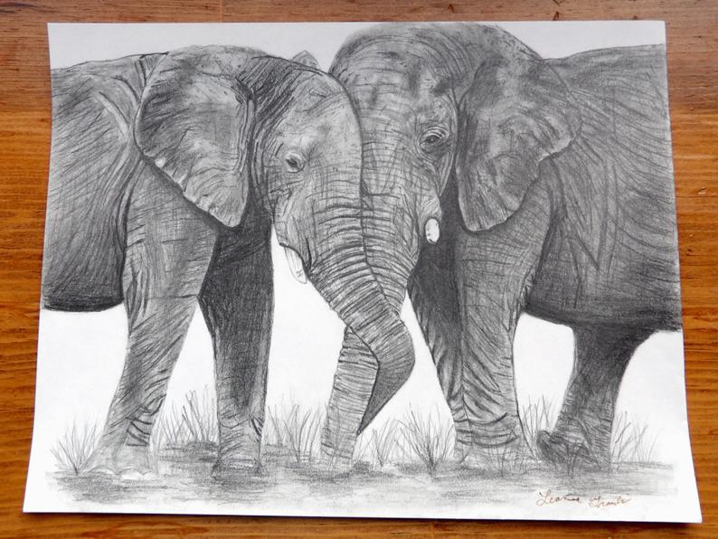 794x596 Elephants Pencil Drawing Print Card Stock Drawing Print Etsy - Elephant Pencil Drawing