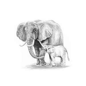 300x300 Mini Sketching Made Easy - Elephant Pencil Drawing