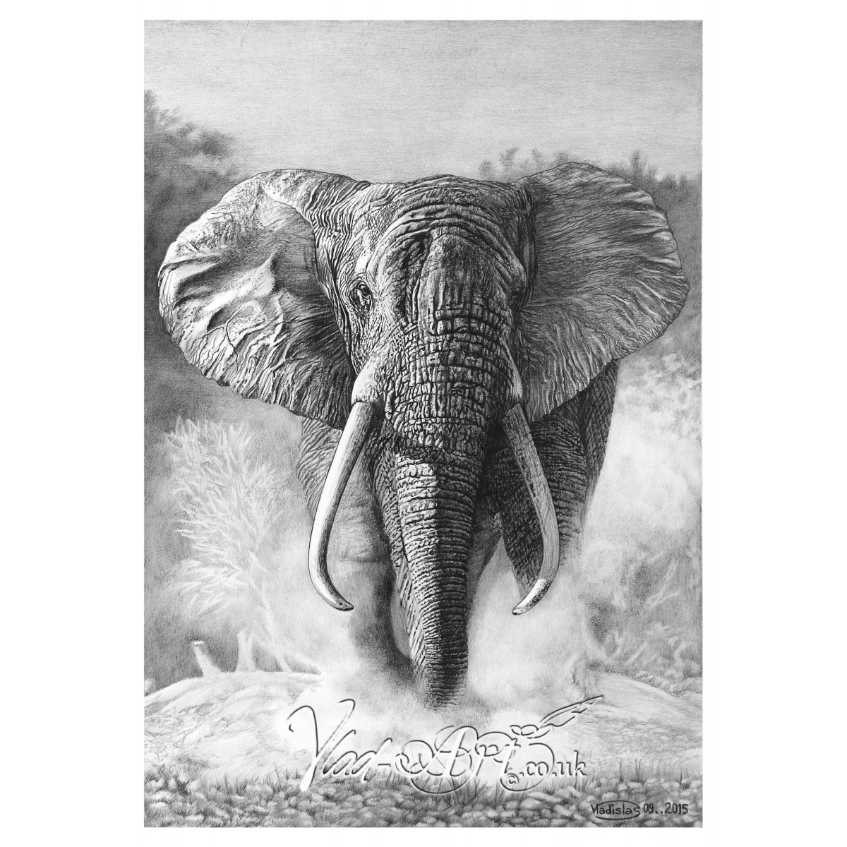1200x1200 Charging Elephant Pencil Drawing - Elephant Pencil Drawing