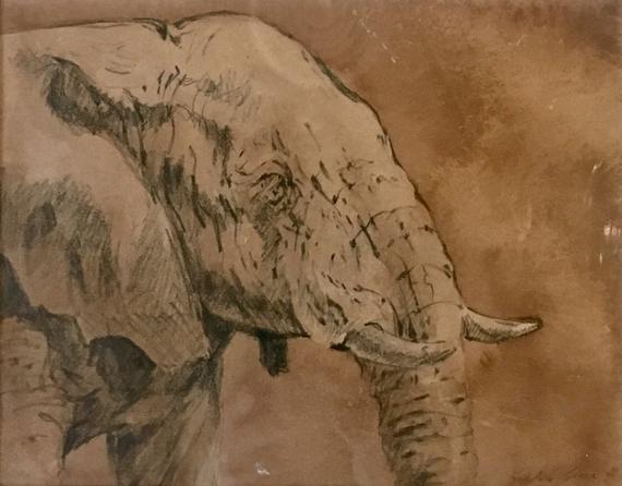 570x446 Elephant Profile Original Art Graphite And Ink Drawing Of An Etsy - Elephant Profile Drawing