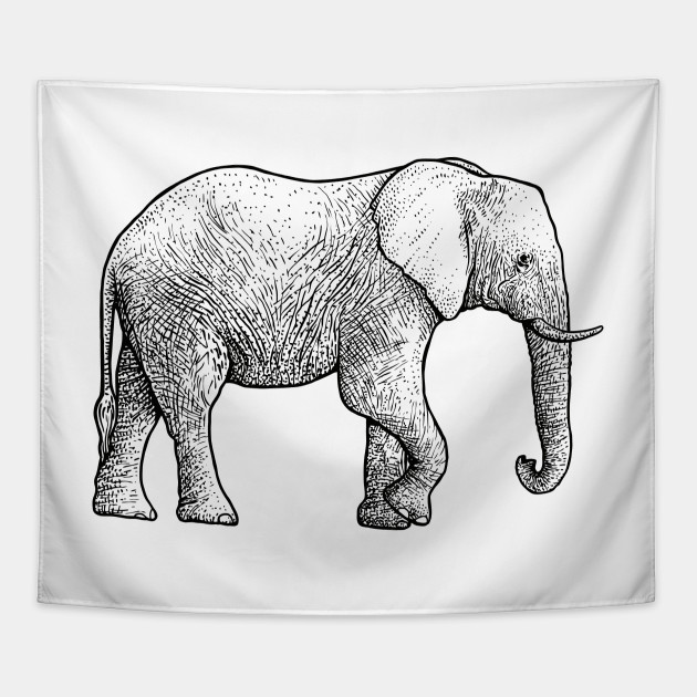 630x630 Elephant Profile Illustration - Elephant Profile Drawing