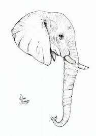 189x267 Image Result For Side Profile Drawing Of An Elephant Art - Elephant Profile Drawing