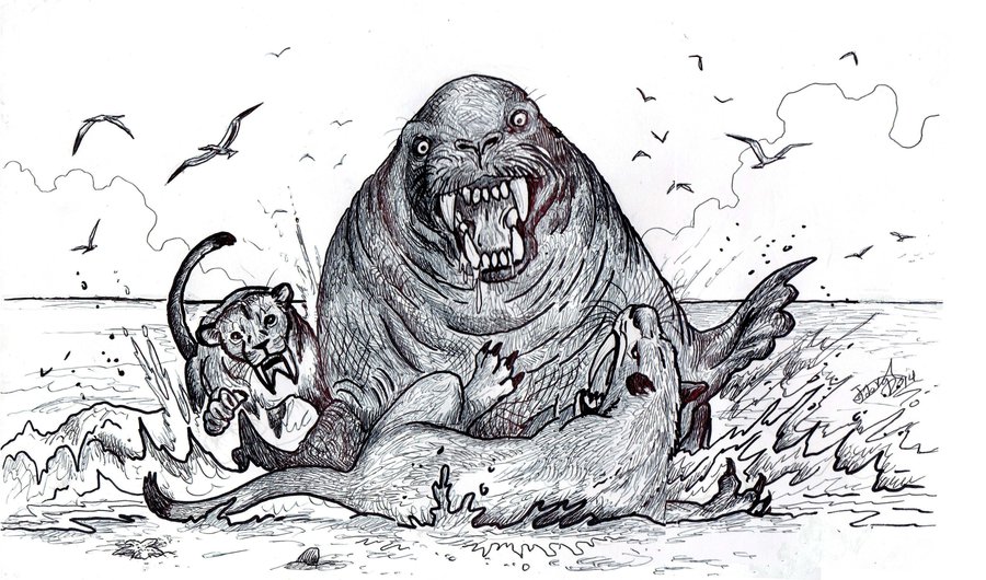 900x530 Pontolis, The Prehistoric Sea Lion Like Walrus The Size - Elephant Seal Drawing