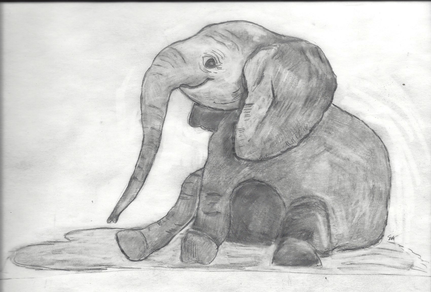 Elephant Sitting Drawing at Explore collection of