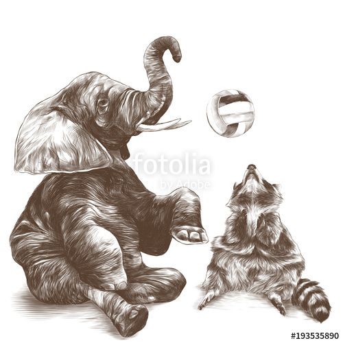 500x500 Elephant And Raccoon Sit And Play Volleyball, Sketch Vector - Elephant Sitting Drawing
