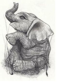 236x342 Sitting Elephant Tattoos - Elephant Sitting Drawing