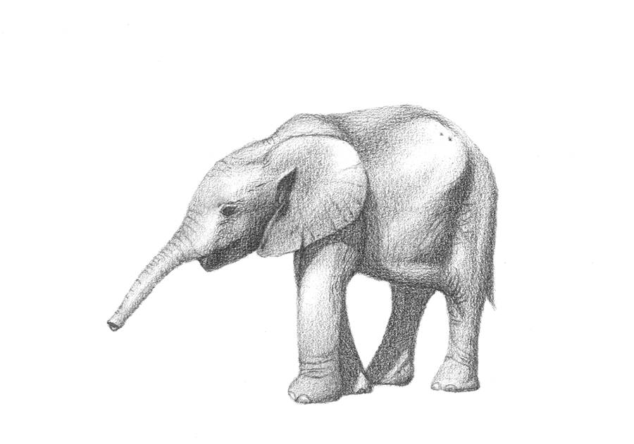 Слон нарисовать. Слон рисунок. Слоны идут карандашом. Слон в движении рисунок. Слон рисунок гранями.