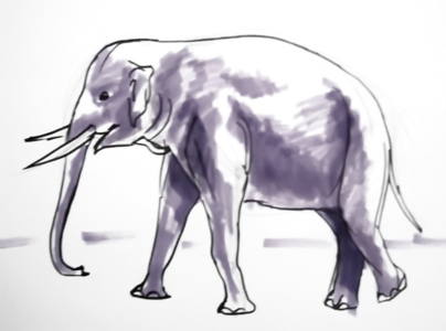 404x300 How To Draw An Elephant - Elephant Sketches Drawings
