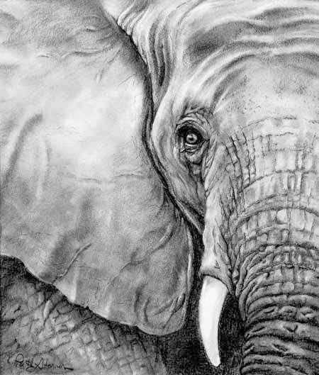 450x529 Paintings Art Sketches, Drawings - Elephant Sketches Drawings