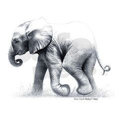 236x236 Elephant Drawings - Elephant Sketches Drawings