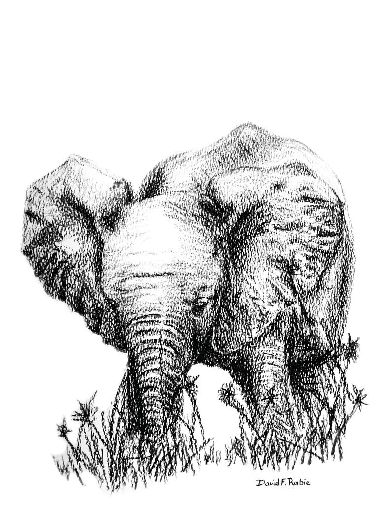 770x1027 Baby Elephant Drawing With I Love Baby Elephants Babies Drawings - Elephant Sketches Drawings