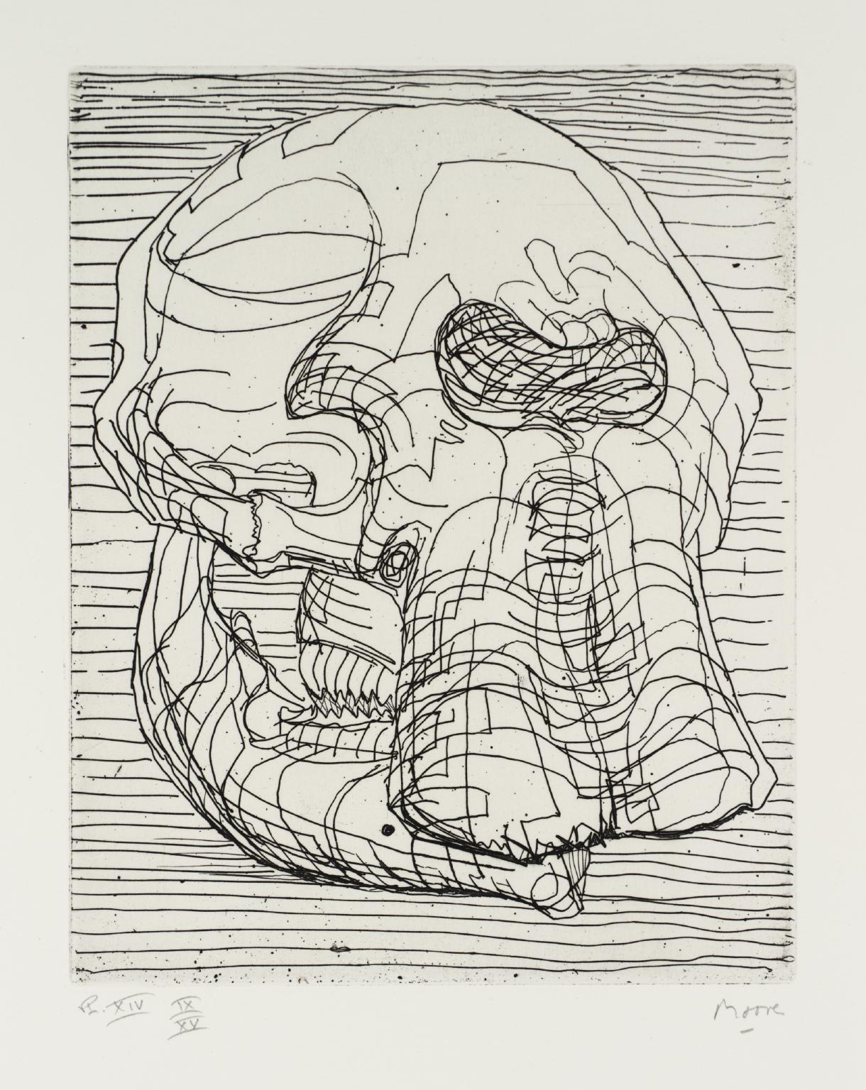 1220x1536 Elephant Skull Album', Henry Moore Om, Ch, Tate - Elephant Skull Drawing