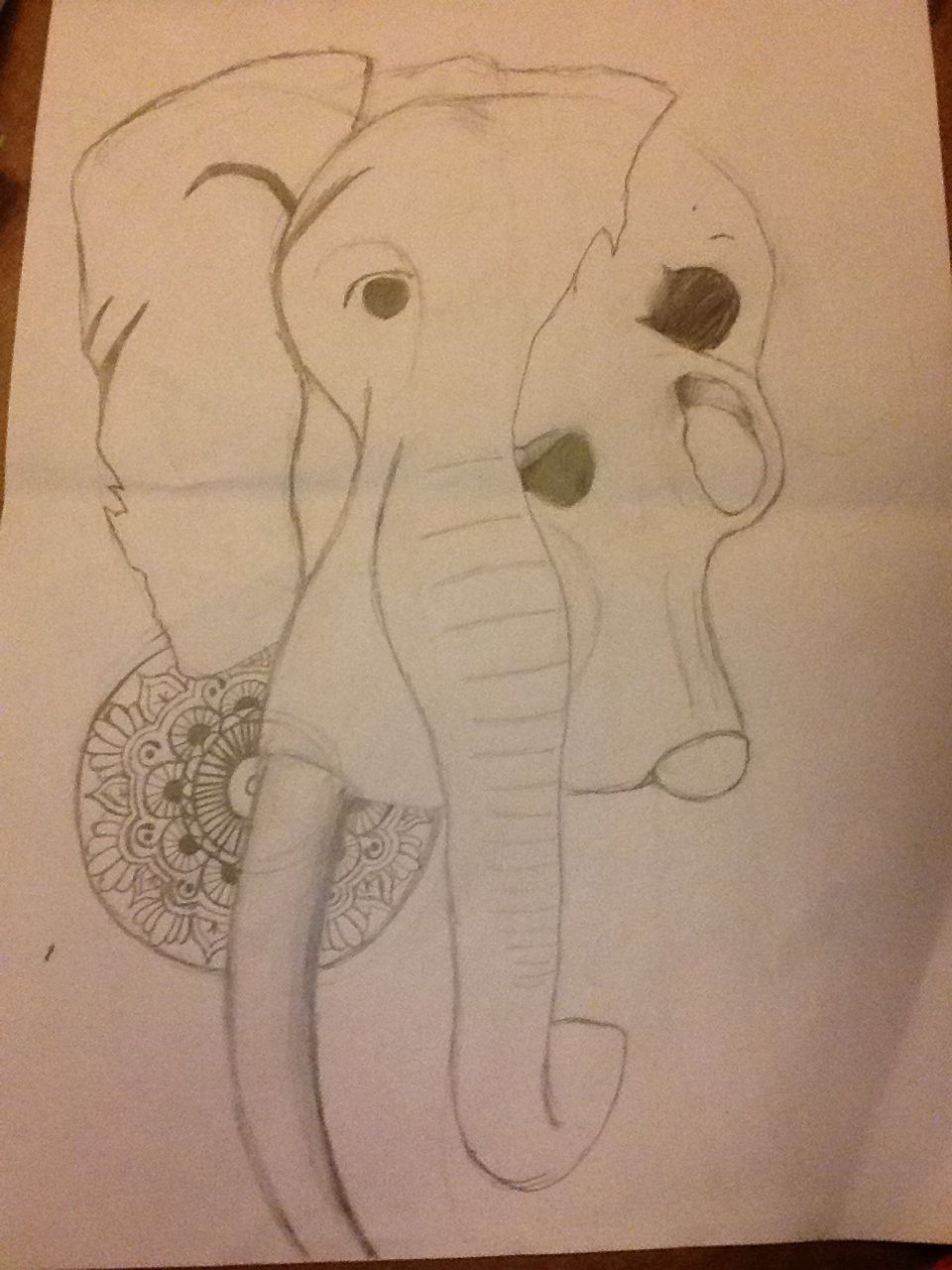 960x1280 Half Elephant Half Elephant Skull Drawing Not Finished Yet - Elephant Skull Drawing