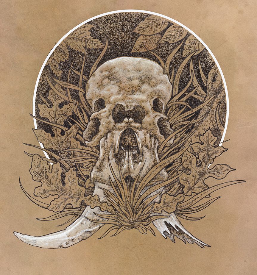 863x924 Mister Beaudry Elephant Skull Illustrations Elephant Skull - Elephant Skull Drawing