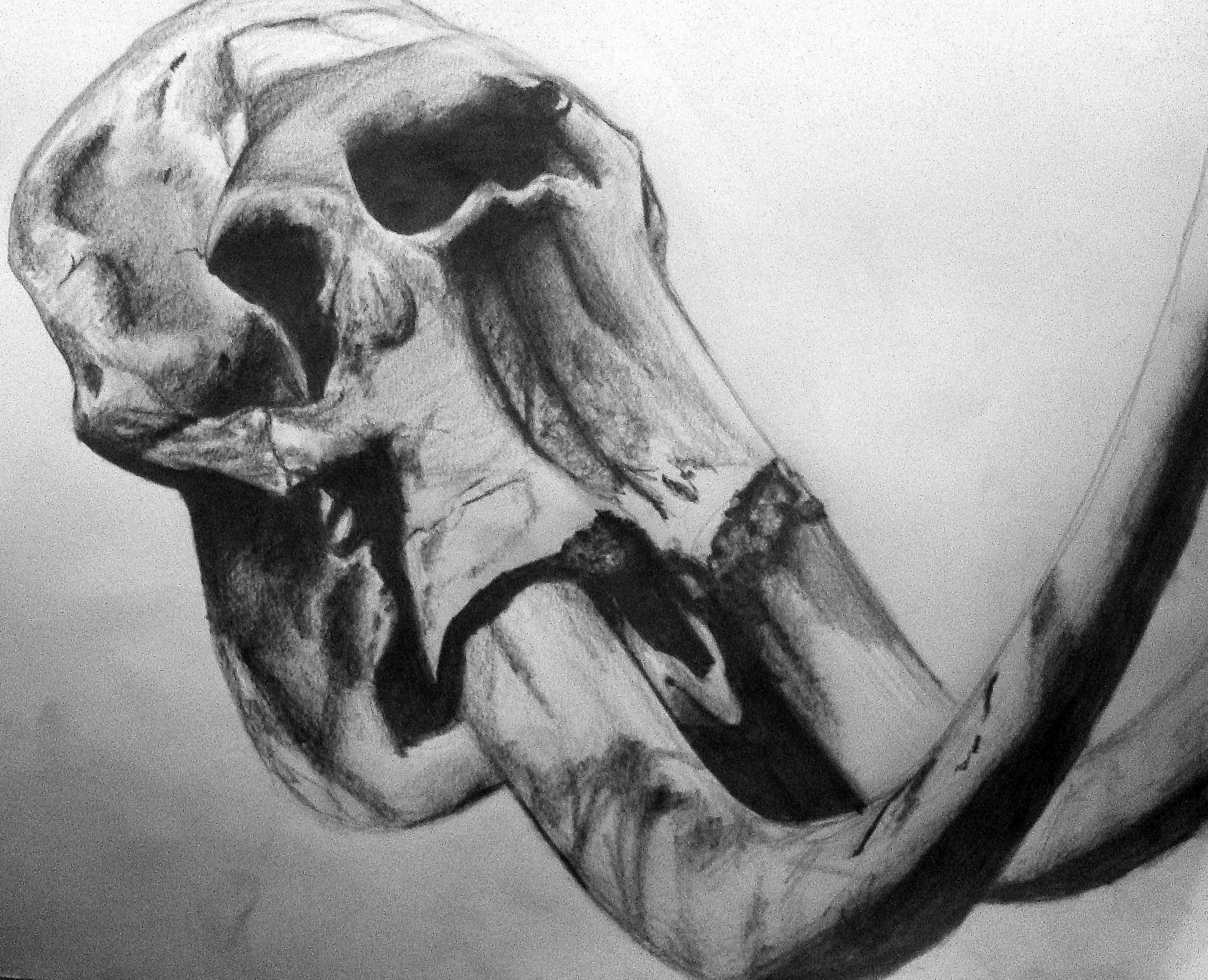 2747x2229 Projects To Try Elephant Skull - Elephant Skull Drawing