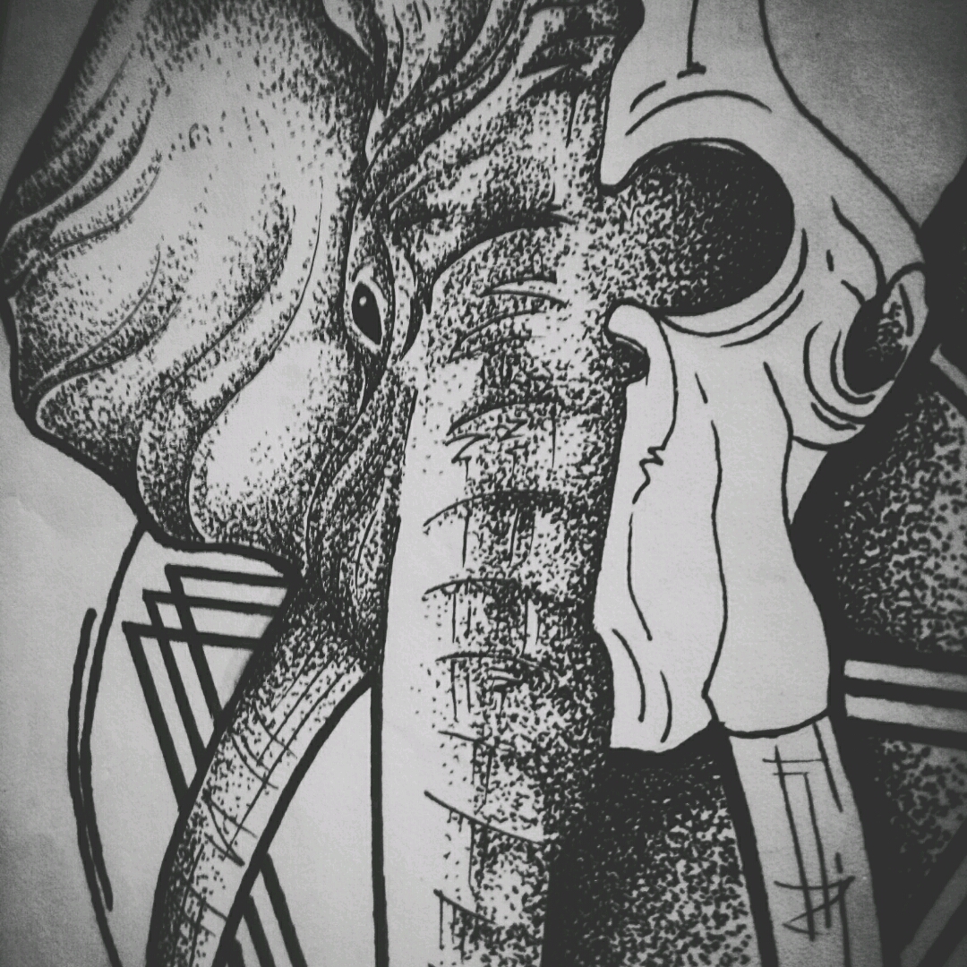 1080x1080 Andrea Made Elephant - Elephant Skull Drawing