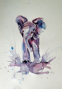 236x339 Elephant Spraying Water Tattoo Ideas About Elephant - Elephant Spraying Water Drawing
