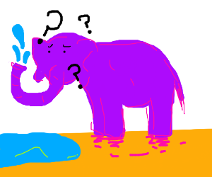 300x250 A Confused Elephant Spraying Water Drawing - Elephant Spraying Water Drawing