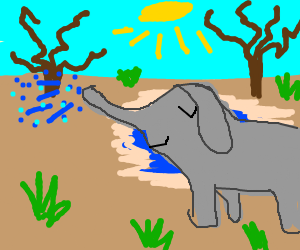 300x250 Elephant That Is Spraying Water Drawing - Elephant Spraying Water Drawing