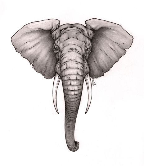 464x533 Elephant Tattoo Designs And Ideas - Elephant Tattoo Drawing