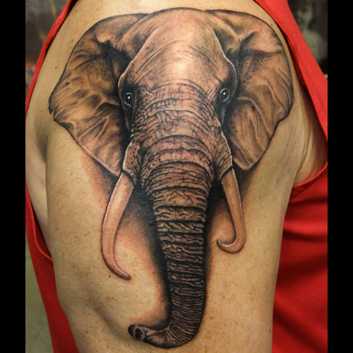 500x500 Elephant Tattoo Meanings - Elephant Tattoo Drawing