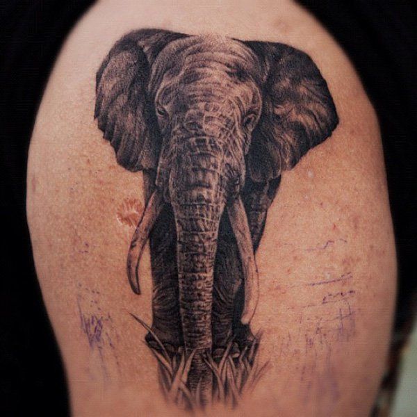 600x600 Elephant Tattoos For Men - Elephant Tattoo Drawing