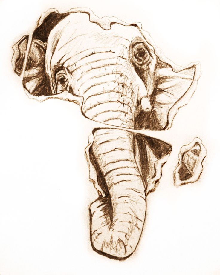 736x921 Latest Elephant Tattoo Designs - Elephant Tattoo Drawing