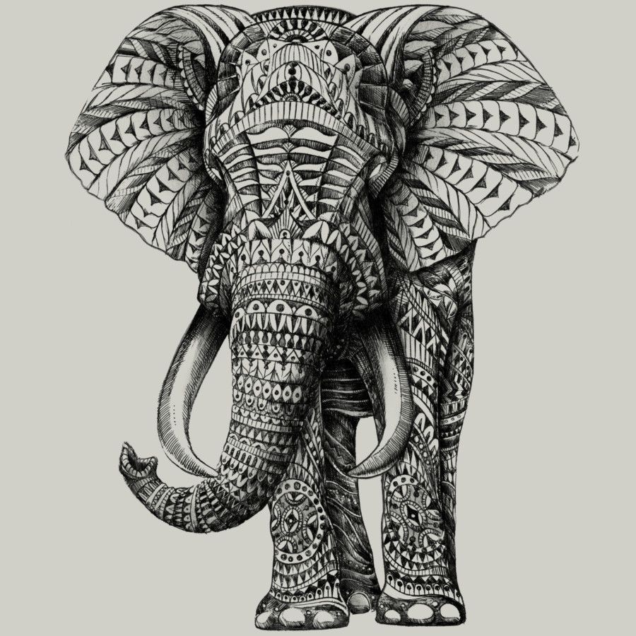 900x900 Huge Collection Of 'elephant Tribal Drawing' Download More Than - Elephant Tribal Drawing