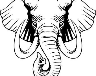 340x270 Elephant Trunk Drawing - Elephant Trunk Drawing