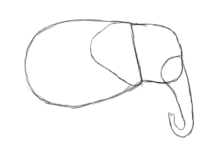 750x562 How To Draw An Elephant - Elephant Trunk Drawing