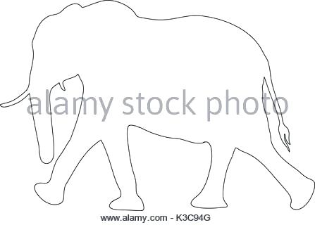 447x320 Outline Elephant Outline Of An Elephant Stock Vector Outline - Elephant Trunk Drawing