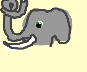 300x250 A Elephant's Trunk Is Tied In A Knot Drawing - Elephant Trunk Drawing