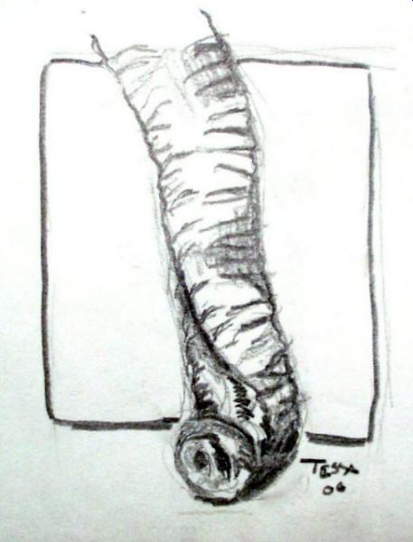457x600 Drawing Of Elephant Trunk - Elephant Trunk Drawing