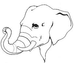 243x207 All Sizes Elephant Trunk - Elephant Trunk Drawing
