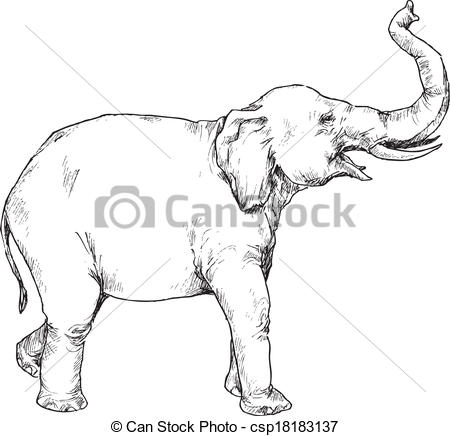 450x436 Asian Elephant Clipart Elephant Trunk - Elephant Trunk Drawing